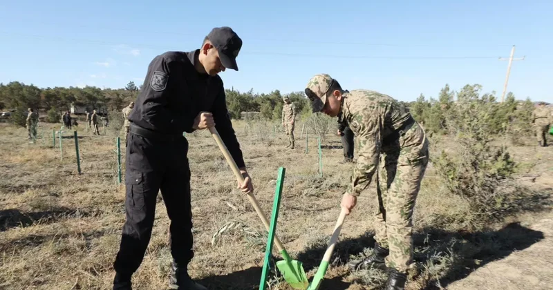 МВД Азербайджана озеленило Баку в честь великой Победы ФОТО/ВИДЕО