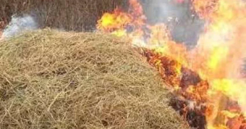 İmişlidə yanğın zəhərlənənlər var