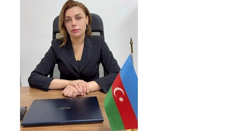 Kirayə gəlirlərinə tətbiq olunan vergi 14% dən 10% ə endirilir Bu dəyişiklik bazarı necə dəyişəcək?