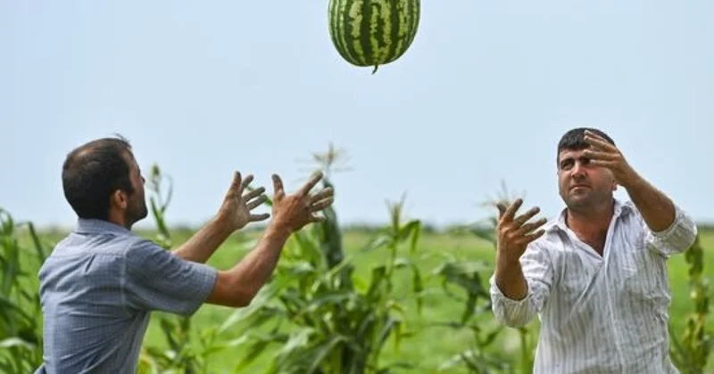Азербайджанских фермеров ждет удар по кошельку