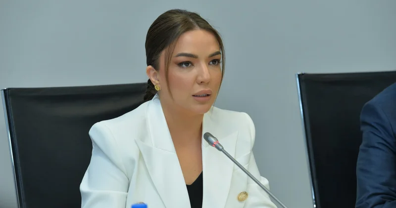 Поддержка проектов, связанных с возвращением в Западный Азербайджан, станет приоритетом грантовых конкурсов 2026 г. Айгюн Алиева