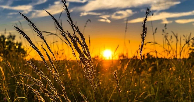 Sabah hava əsasən yağmursuz, bəzi yerlərdə dumanlı olacaq HAVA PROQNOZU