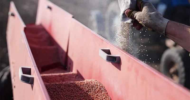 В РФ прокомментировали отправку пшеницы в Армению через Азербайджан ФОТО ВИДЕО