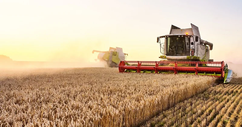 Число покупающих пшеницу у России стран упало с 50 ти до 30 ти