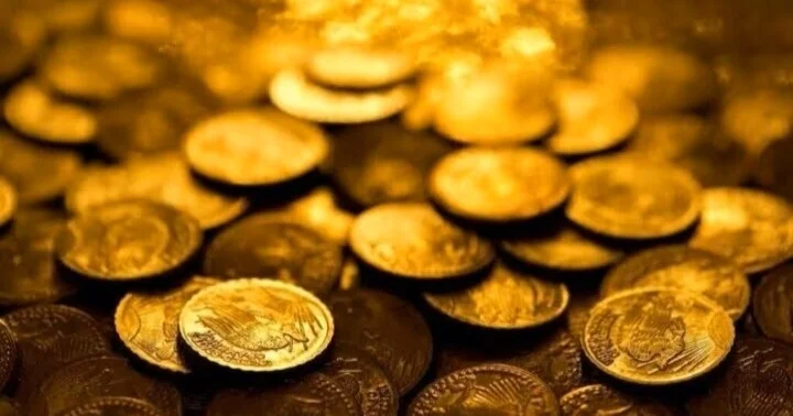 Həyətdən çıxan sərvət: Birinin dəyəri 2 milyondan çoxdur FOTO