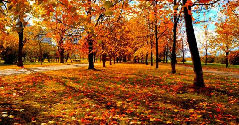 Çiskin, duman, 23 dərəcə isti... Sabahın habvası