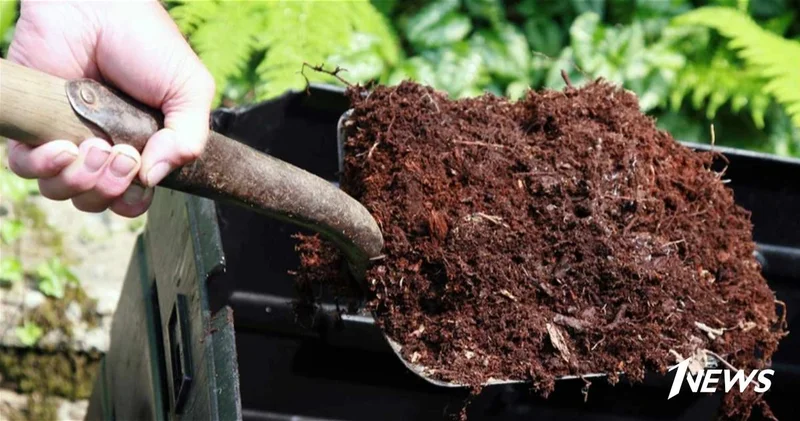 Азербайджан может освободить импорт удобрений от НДС