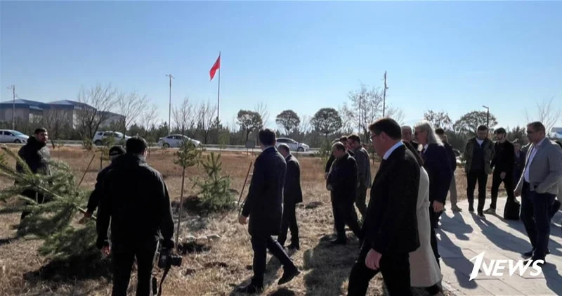 В Карсе посажены 44 дерева в память о героях Отечественной войны ФОТО