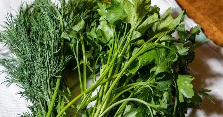 Göyərtiləri dondurmadan təzə saxlamağın yolu