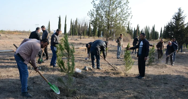 Tərtərdə Zəfər Gününün beşinci ildönümü ilə əlaqədar keçirilən aksiyalarda 1000 ədəd ağac əkilib