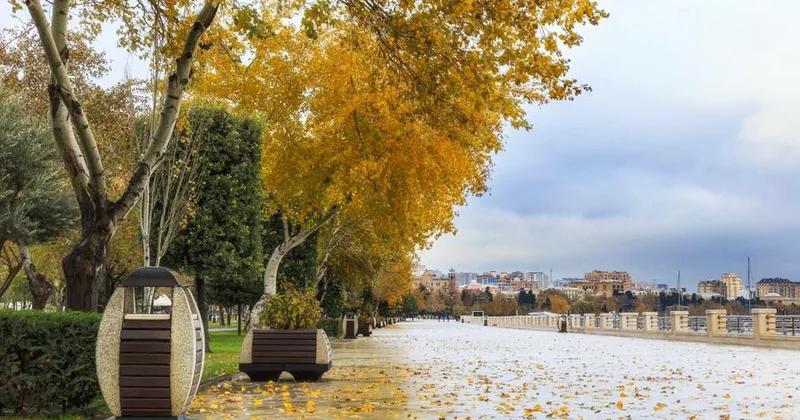 Завтра в Баку будет до 20 градусов тепла Minval Politika