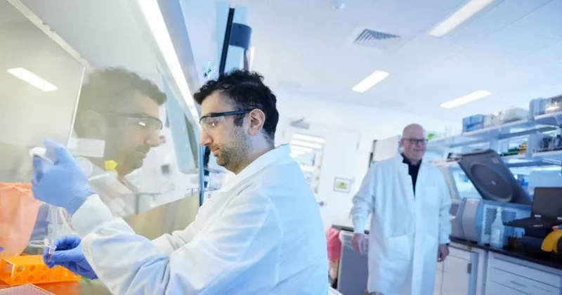 Bir iynə ilə arıqlayacağıq