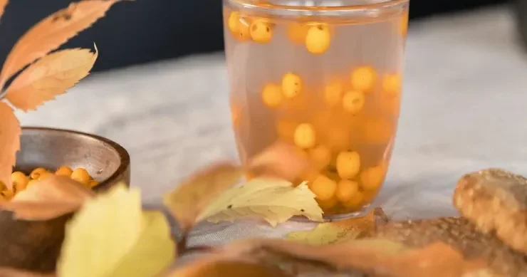 Dəniz iti Kimlər üçün FAYDALIDIR?