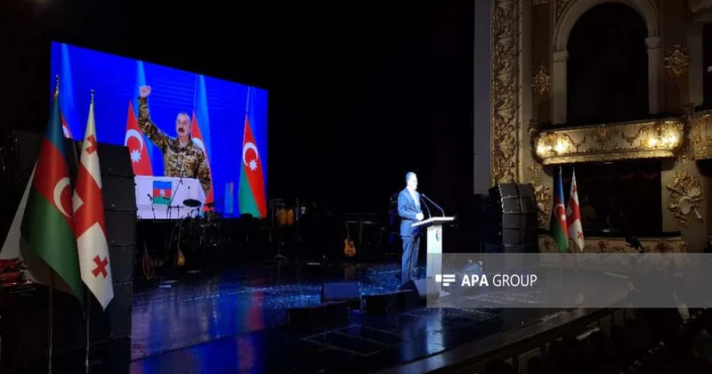 День Победы отпраздновали в Тбилиси концертом ФОТО