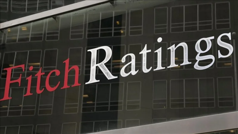 Fitch qlobal artım məsələləri ilə bağlı proqnozlar verib