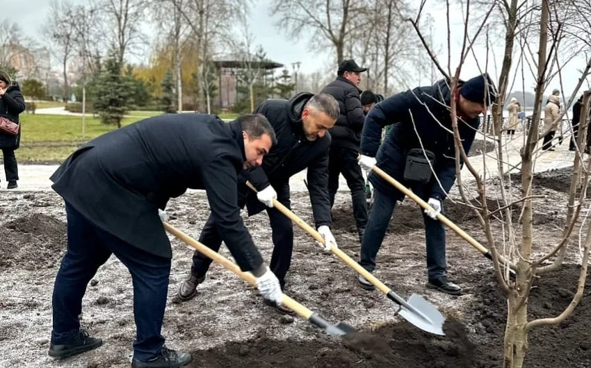 Kiyevdə AzərbaycanUkrayna dostluq xiyabanı salınıb