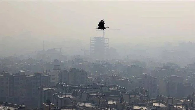 Çirkli hava səbəbindən 700 nəfər xəstəxanaya yerləşdirildi