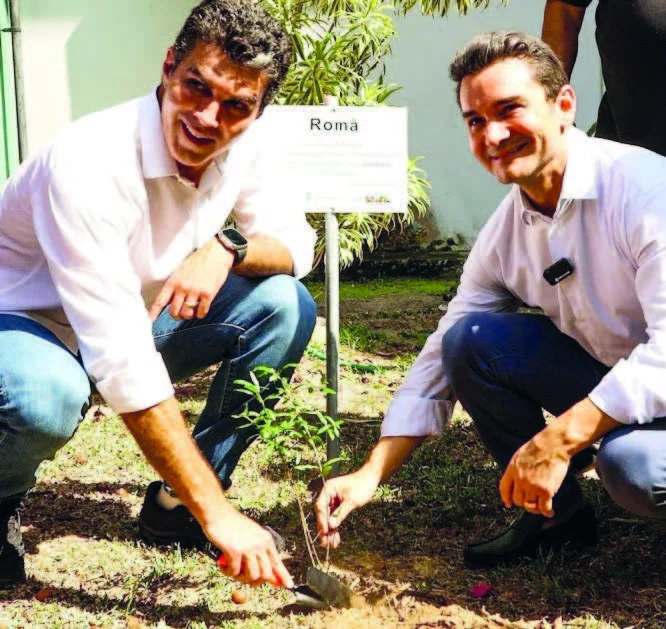 Bakı konfransının “nar”ı Braziliyada əkilib