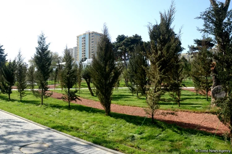 Bakıda Qərbi Azərbaycan parkı yaradılacaq