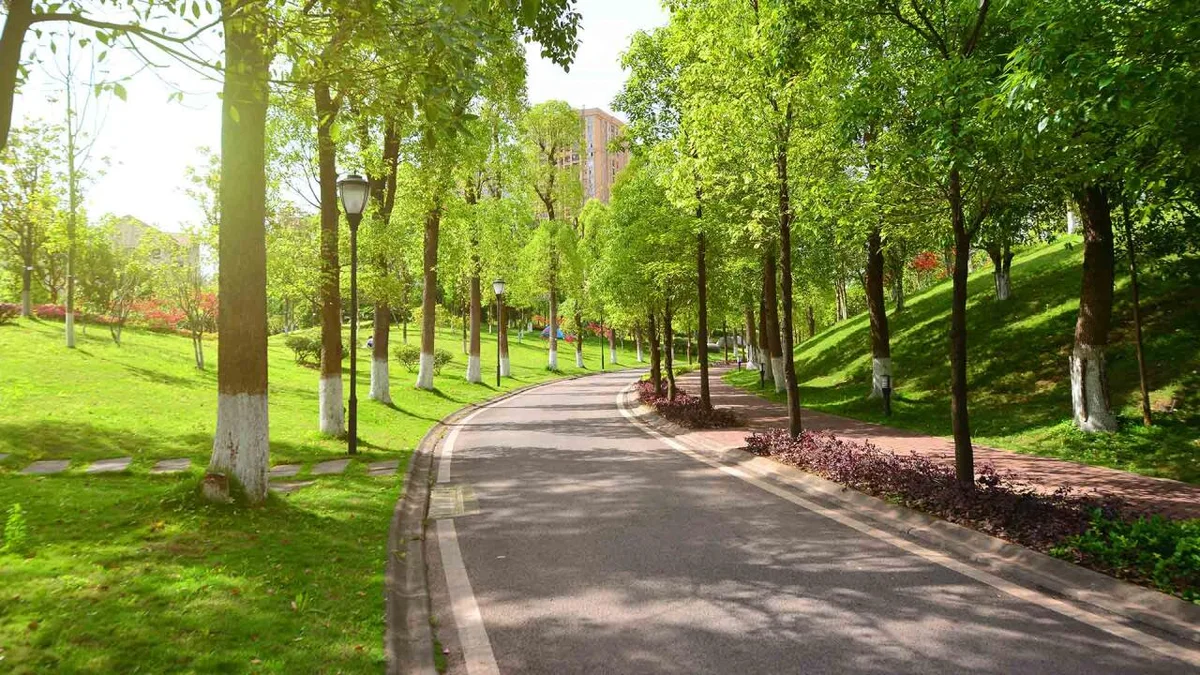 Bakıda Qərbi Azərbaycan parkı yaradılacaq FOTO