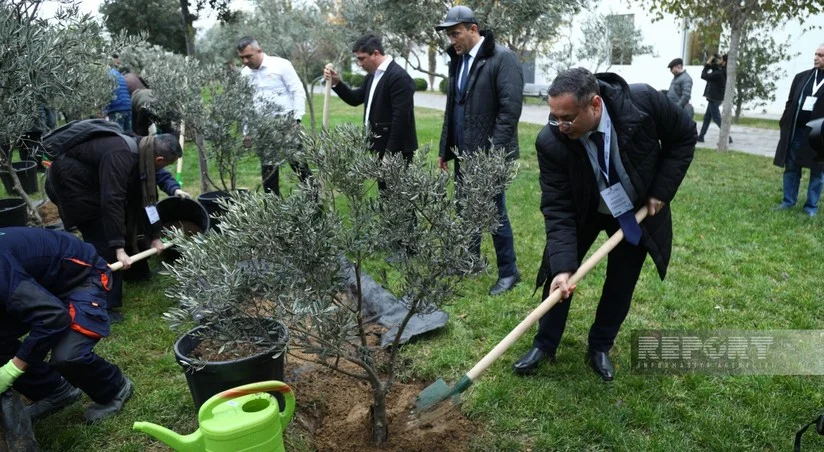 Qərbi Azərbaycana qayıdış üzrə beynəlxalq konfransın iştirakçıları Zirədəki Ekoparkda ağaclar əkiblər