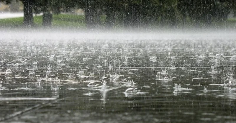 Leysan olacaq, qar yağacaq