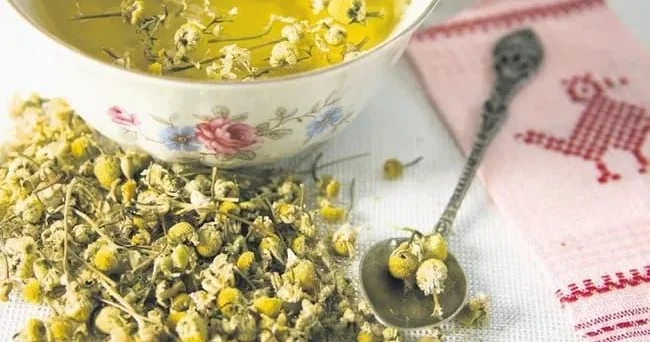 Zehni gücləndirən 5 bitki çayı