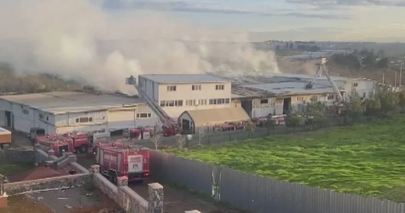 Türkiyədə karton fabrikində YANĞIN