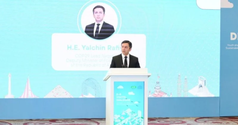 Bakıda yeni D 8 mərkəzləri açmaq niyyətindəyik Yalçın Rəfiyev