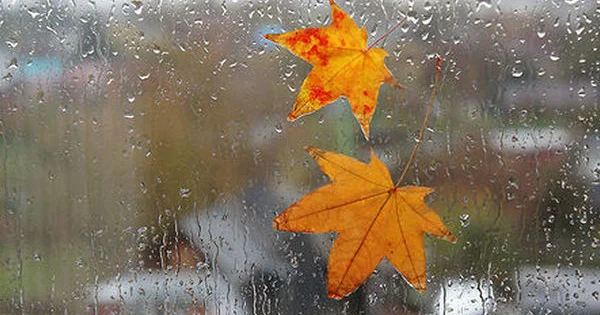 Bakıda və rayonlarda leysan yağış gözlənilir