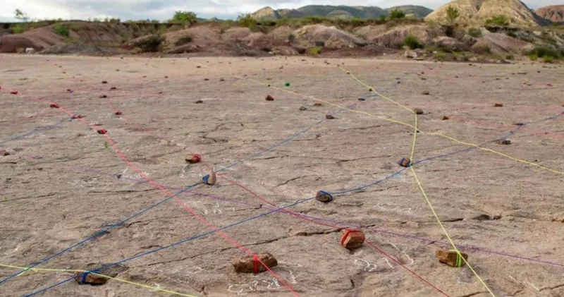 Yeni rekord: Qədim sahil boyunca 18 min dinozavr izi aşkar edilib