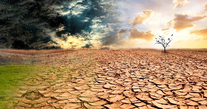 На Европу обрушится экстремальная засуха