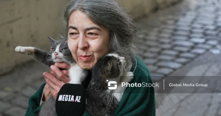 100 кошек, одна миссия и без остатка любви: история женщины из Баку, посвятившей жизнь питомцам