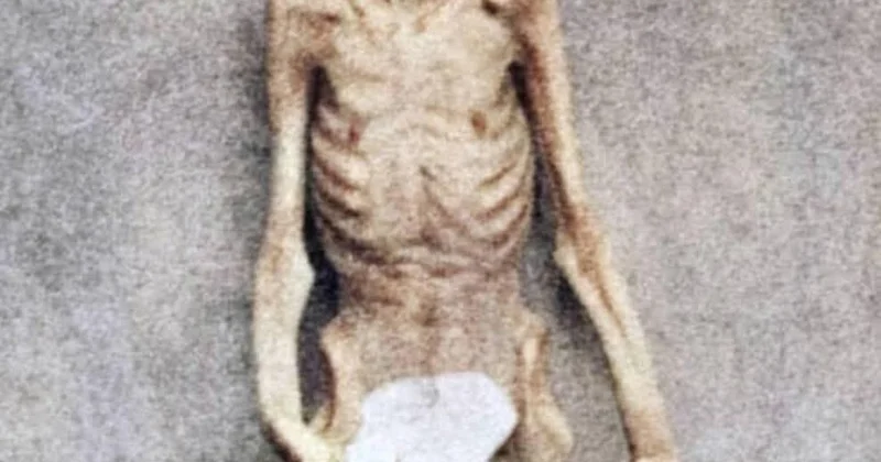 Dünyanın ən qorxulu məzarı Araşdırmaçıların qəfil ölümü KONKRET