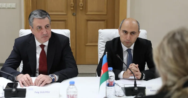Emin Əmrullayev Gürcüstan Parlamentinin komitə sədri ilə görüşüb FOTO