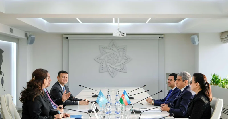 Плодотворные встречи Анара Алиева фото