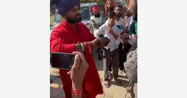 Hindistanda müalicəvi bitkilər satıcısı mərcə özünü ilana dişlətdirib və ölüb