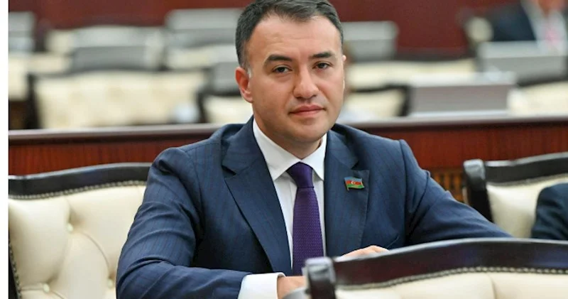 Anti milli reaksiya dilənçiləri