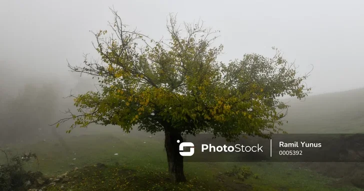 Обнародована фактическая погода в Азербайджане