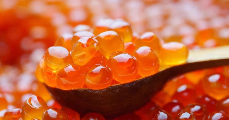 Üzərində E‑239 yazılan kürü almayın Zəhər saçır