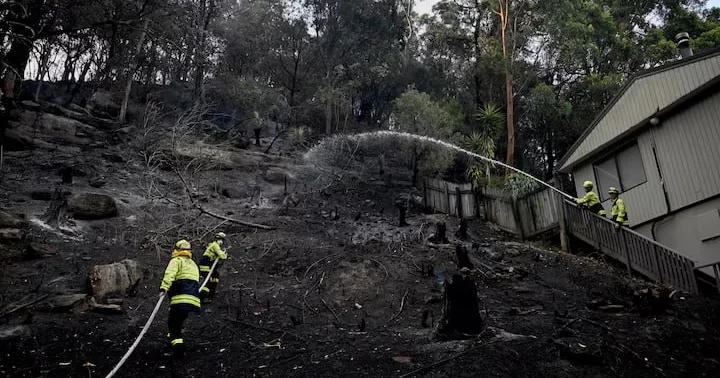 Avstraliyada meşə yanğınları tüğyan edir