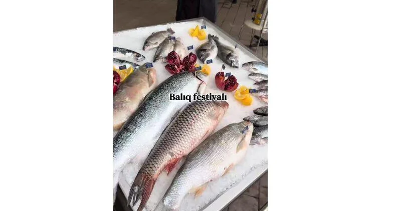 В Азербайджане впервые состоялся Рыбный фестиваль ВИДЕО