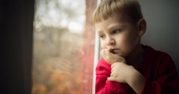 İndiyə qədər 75 uşaq himayədar ailələrə verilib RƏSMİ