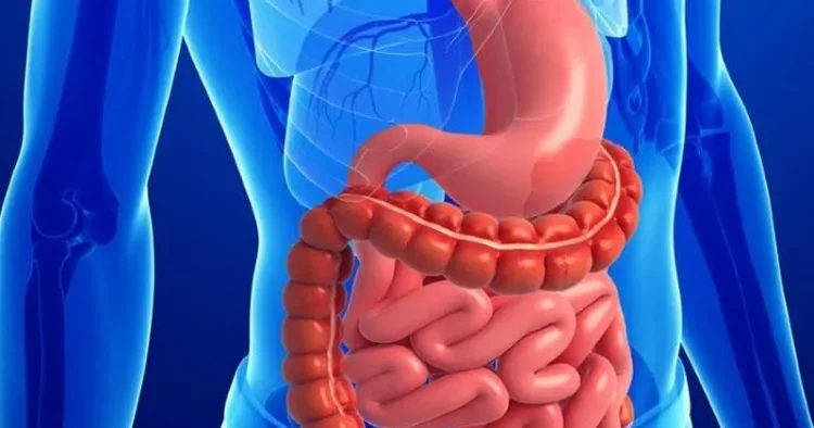 Toksikoloq ən zərərli yeməkləri SADALADI