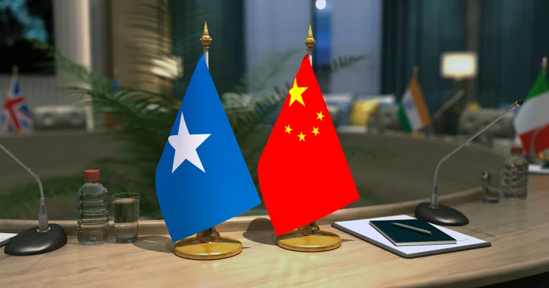 Somali “Vahid Çin” prinsipinə sadiqdir