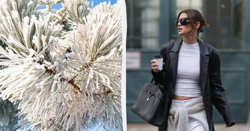 Bahalı obrazın sirri: Qış futbolkalarını nə ilə əvəz etmək olar? (FOTO)