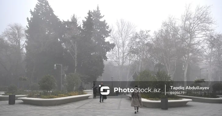 Туманное утро и потепление до 16° тепла в Азербайджане 8 января