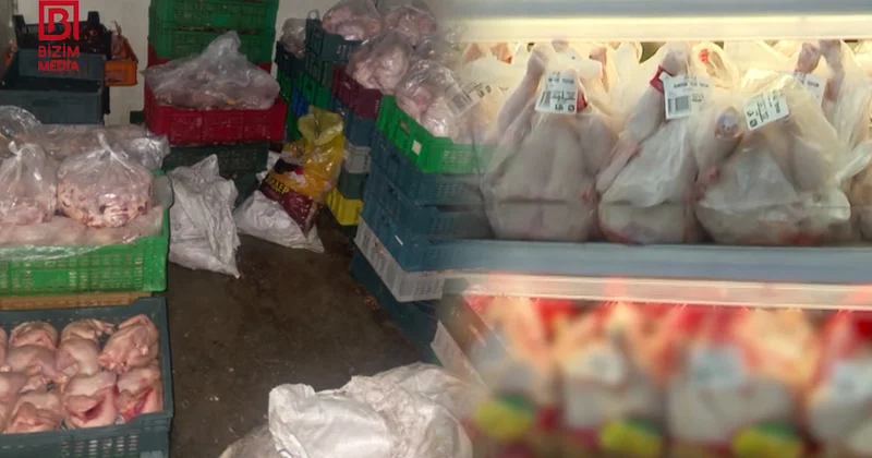 Masazır sakinləri RİSK ALTIINDA Çirkab içində kəsilən toyuqlar hansı marketlərə paylanıb? VİDEO