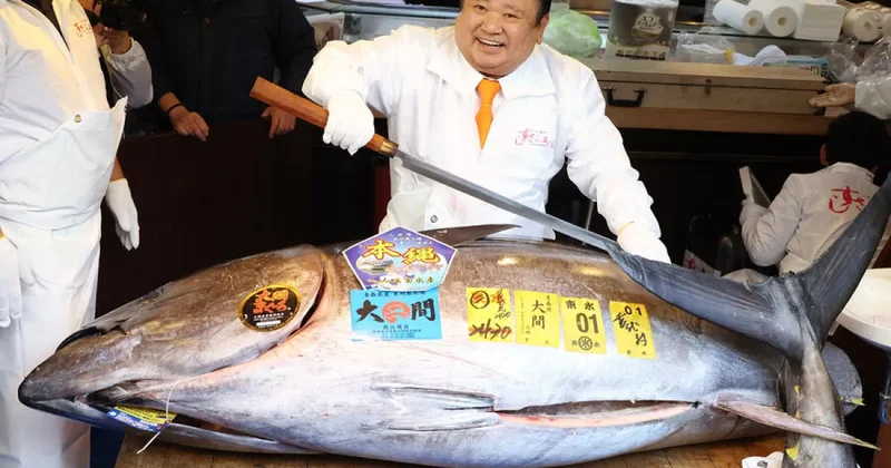 На токийском рынке синего тунца продали за рекордную сумму