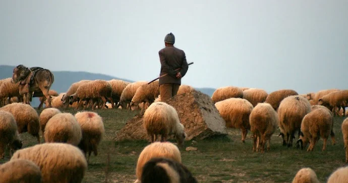 Qardaş ölkədən çobanlara JEST: Elə qərar verildi ki…